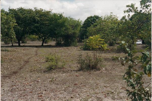 Terreno -  Las Jaguitas